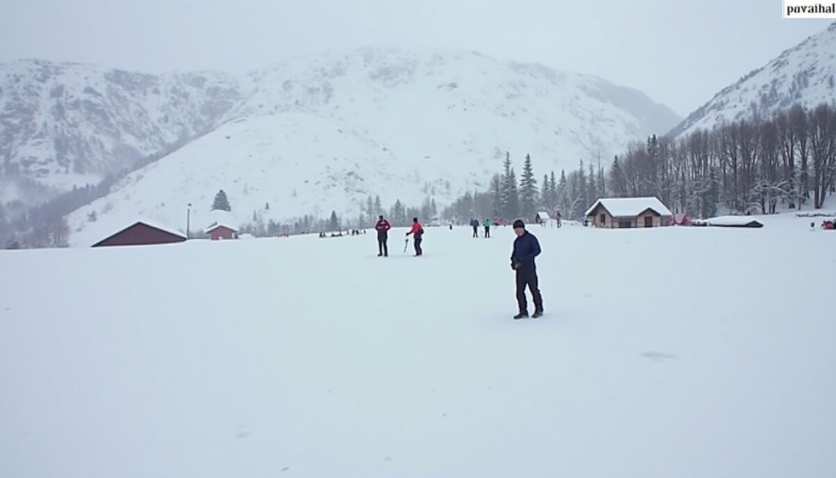 Chalmazel en direct : Suivez la météo et l'état des pistes grâce à la webcam