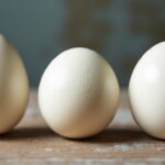Poids du blanc d'œuf : quelle variation selon la taille de l'œuf ?